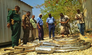 شرطة السير بساحل حضرموت تواصل حملاتها لضبط الدراجات النارية المخالفة والمزعجة للمواطنين