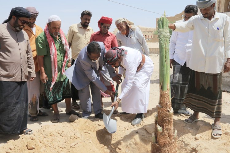 شبام تدشن مبادرة في بيتنا نخلة بزراعة 200 نخلة كمرحلة أولى لتعزيز الأمن الغذائي والمشهد الحضاري