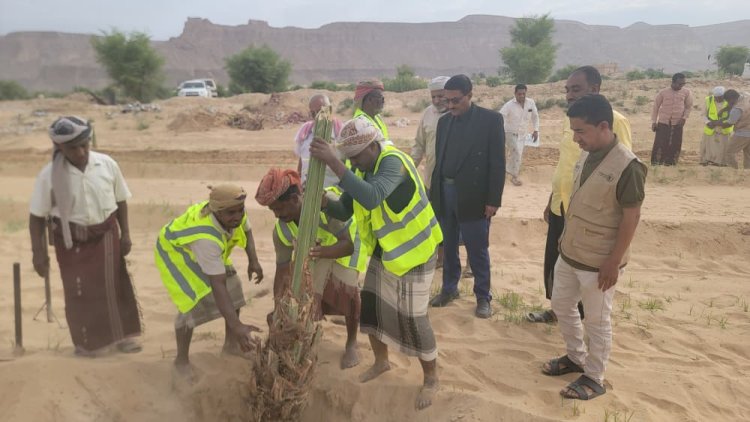 ضمن مبادرة في بيئتنا نخلة.. السلطة المحلية بمديرية تريم تدشن توزيع شتلات زراعية ضمن مشروع من الغذاء إلى الصمود