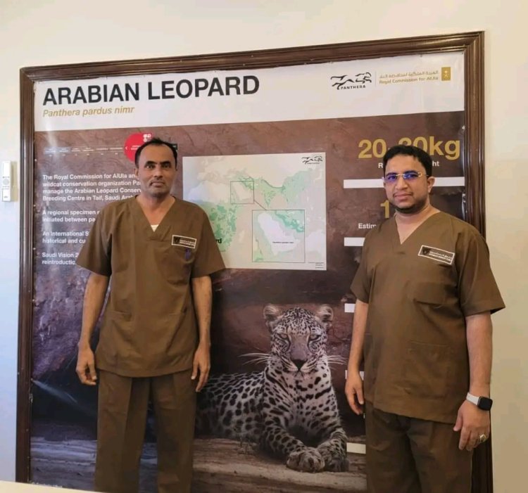 الوفد البيئي بالمهرة يشارك في ورشة إقليمية حول حماية الحياة الفطرية وتكاثر النمر العربي في الطائف