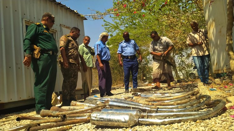 شرطة السير بساحل حضرموت تواصل حملاتها لضبط الدراجات النارية المخالفة والمزعجة للمواطنين