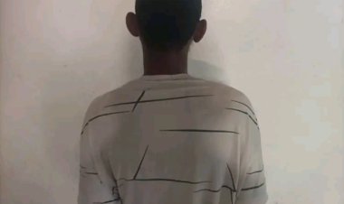 زنجبار.. الأمن يلقي القبض على شخص ألقى قنبلة يدوية على منزل عمه