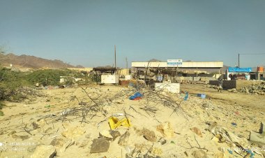 أهالي حصيحصة يناشدون الجهات المختصة لغياب الخدمات الأساسية ومكافحة تكاثر الكلاب