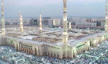 البخيتي يلوّح بحكم الحرمين والعريشي يردّ بسخرية: تزنبل كما شئت.. فمصيرك الجبال