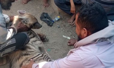 شجاعة باقس تثير الإعجاب المواطنين بلودر