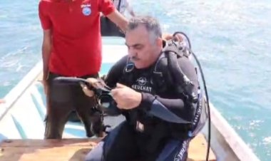 الهيئة الإقليمية (PERSGA) والهيئة العامة لحماية البيئة: دراسة الشعاب المرجانية في جزيرة العزيزي