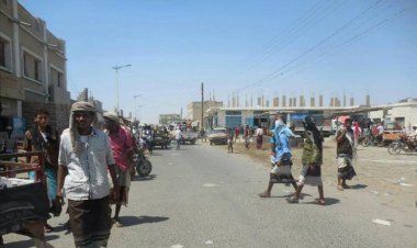 موظفو مكتب الزراعة بأبين يبدون إستيائهم جراء التعثر المتكرر في صرف مرتباتهم ويحملون إدارة المكتب المسؤولية