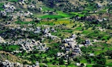 أبناء يافع يأمنون في وقت قياسي مبلغ 700 ألف ريال سعودي دية العفو عن أبنهم نبيل صالح بن عطاف