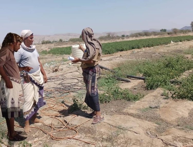 رئيس القسم الاقتصادي والخدمي بانتقالي الوضيع يتابع استخدام المبيدات الزراعية في المديرية