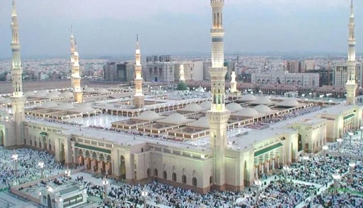 البخيتي يلوّح بحكم الحرمين والعريشي يردّ بسخرية: تزنبل كما شئت.. فمصيرك الجبال