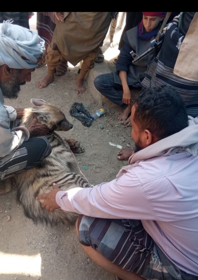 شجاعة باقس تثير الإعجاب المواطنين بلودر