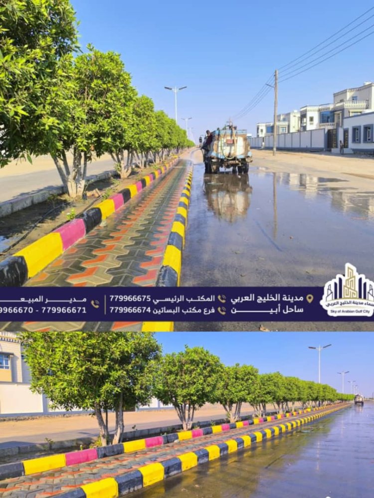 من أجل مدينة أكثر جمالًا… مشروع وطني يعزز شبكات الطرق والتشجير والإنارة في سماء مدينة الخليج العربي