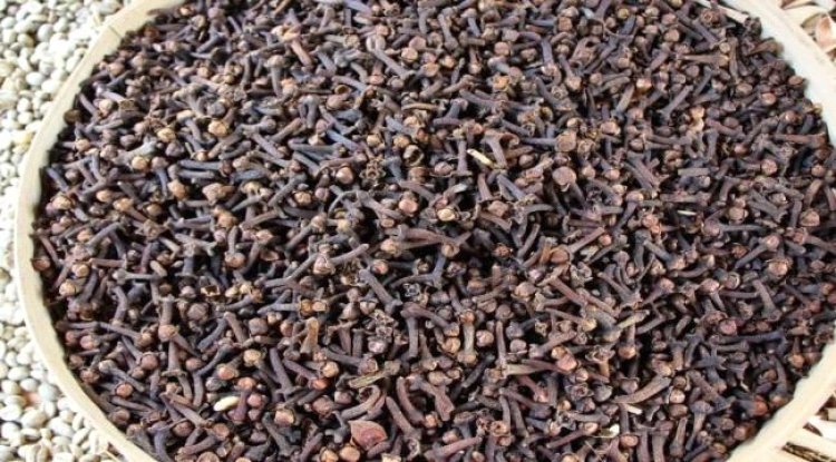 القرنفل يعزز ضبط مستويات السكر في الدم