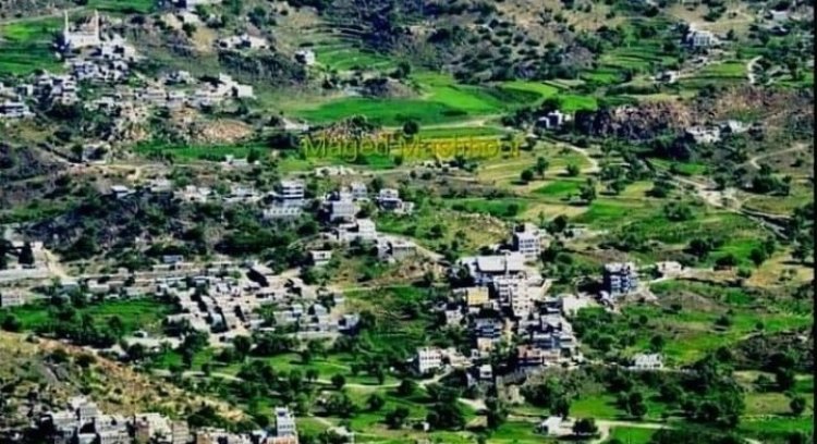 أبناء يافع يأمنون في وقت قياسي مبلغ 700 ألف ريال سعودي دية العفو عن أبنهم نبيل صالح بن عطاف