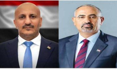 الرئيس الزُبيدي يتلقى اتصالًا هاتفيًا من الفريق طارق صالح