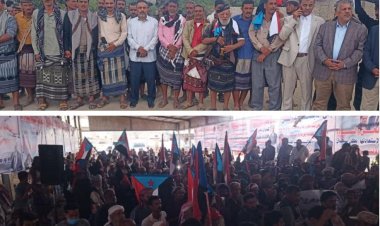 يافع تحيي زنجبار بزخم جماهيري ورسائل سياسية: مشهد جنوبي يوحّد الصوت والمطلب