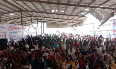 زنجبار تتصدر مشهد الاعتصام السلمي.. حضور نسائي لافت ورسائل سياسية حاسمة