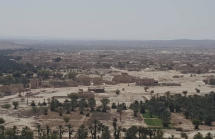 شرطة غيل بن يمين تضبط متهمًا بقتل شابين دهسًا في حضرموت الساحل