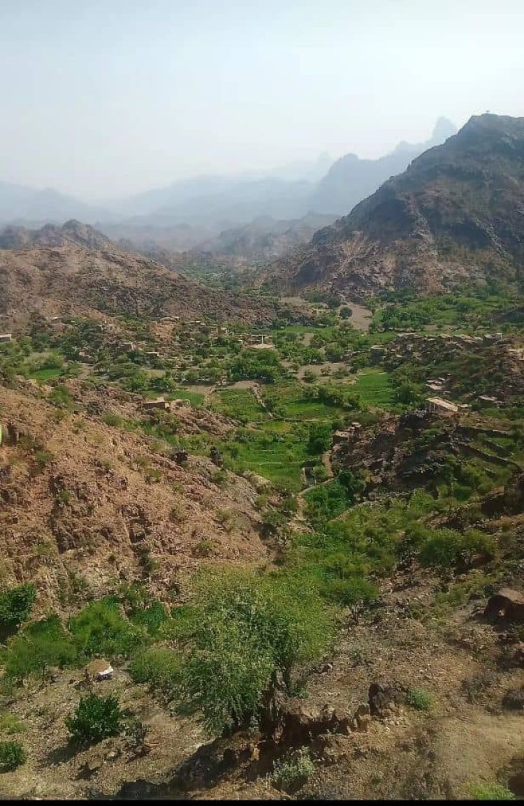 ميليشيا الحوثي تشن قصفاً مكثفاً على منازل المواطنين في قرى عهامة محافظة لحج