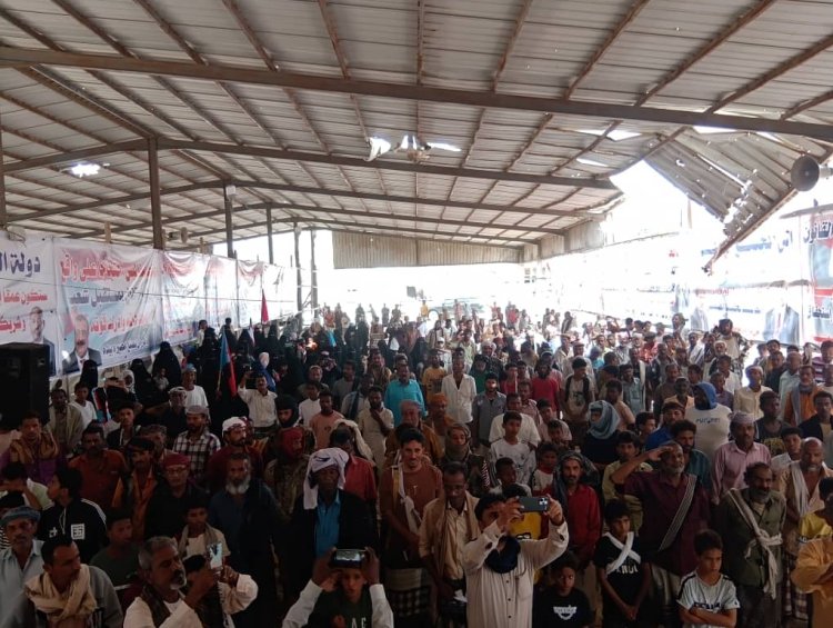 زنجبار تتصدر مشهد الاعتصام السلمي.. حضور نسائي لافت ورسائل سياسية حاسمة