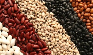 ماذا يحدث لضغط الدم والكوليسترول عند تناول الفاصوليا يوميًا؟