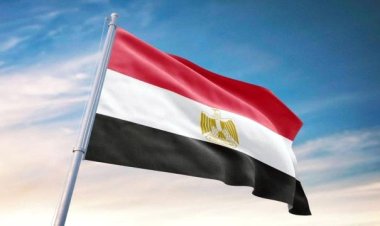 مصر ترحب بتصنيف الولايات المتحدة الإخوان منظمة إرهابية