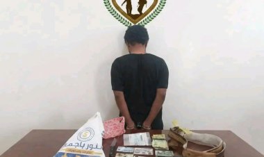 اللواء الثاني دفاع شبوة يضبط مطلوباً أمنياً لشرطة أبين على ذمة قضية قتل في مدخل مدينة عتق