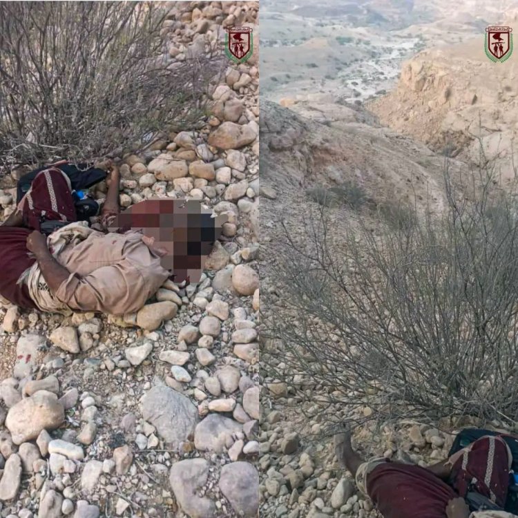 مقتل عنصر إرهابي خلال ملاحقته بعد تفجير عبوة ناسفة