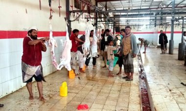 علي صالح بن عاطف المدير العام لسوق عدن المركزي للماشية والاعلاف: أسعارنا مناسبة مقارنة مع رمضان العام الماضي و تلبي احتياجات المواطن