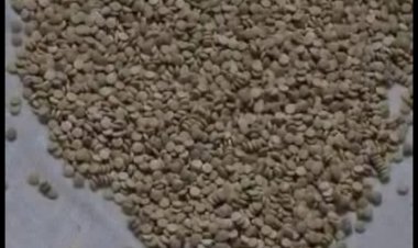 إحباط تهريب آلاف الحبوب المخدرة المتجهة للسعودية