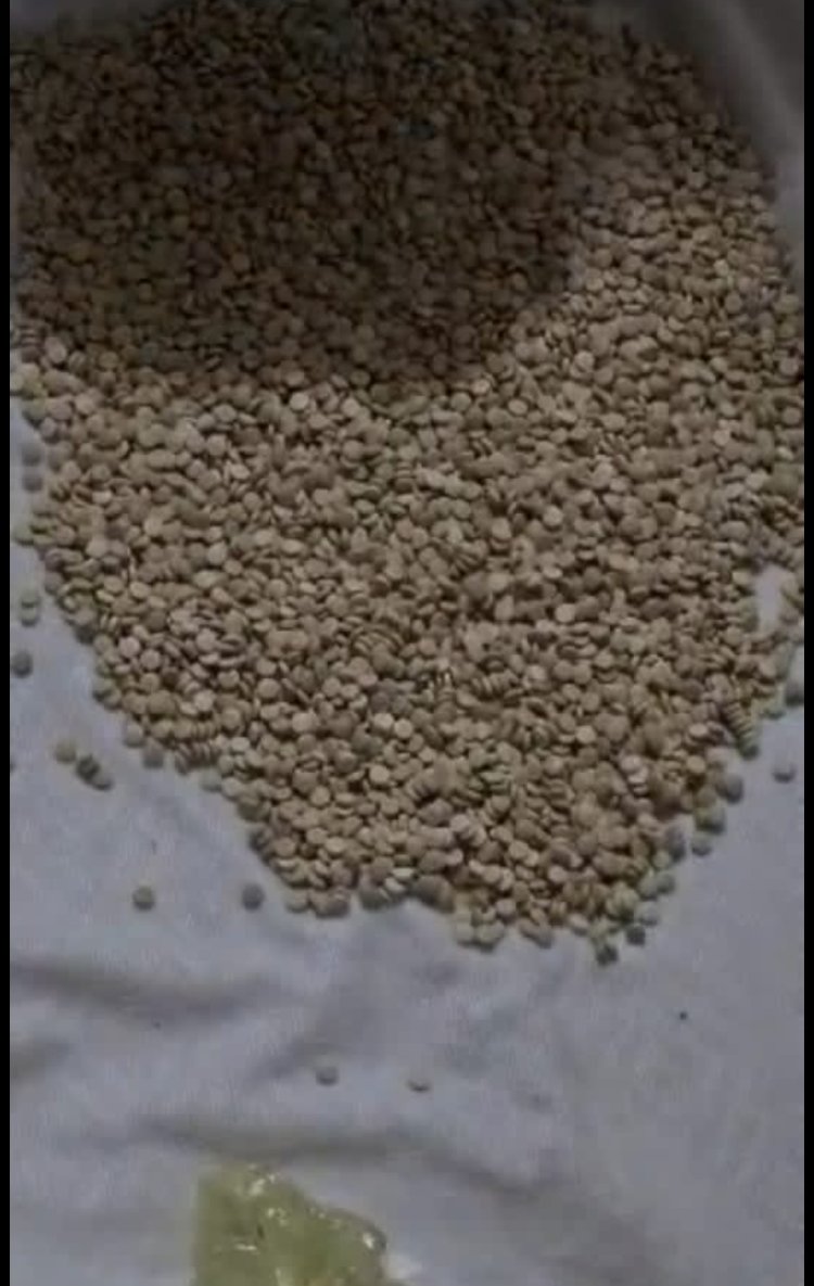 إحباط تهريب آلاف الحبوب المخدرة المتجهة للسعودية