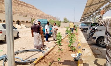 انطلاق أعمال تشجير ساحة مستشفى شبام لتعزيز البيئة الصحية والجمالية