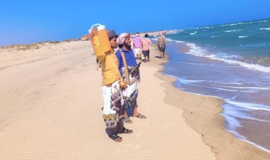 في حملة إنسانية واسعة.. شباب أحور يمشطون سواحل المديرية بحثاً عن الشقيقين العظمي