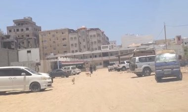 امبريص : ايش اللي تغير بكتيبة وحدة حماية الأراضي غير كمال الحالمي.. والمنظومة كلها موجودة