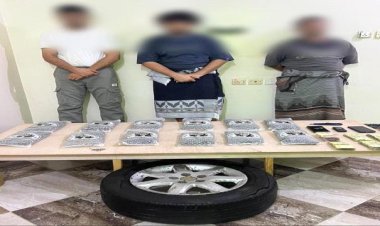 عدن.. مكافحة المخدرات تطيح بثلاثة متهمين بحوزتهم 12 كيلو حشيش مخدر