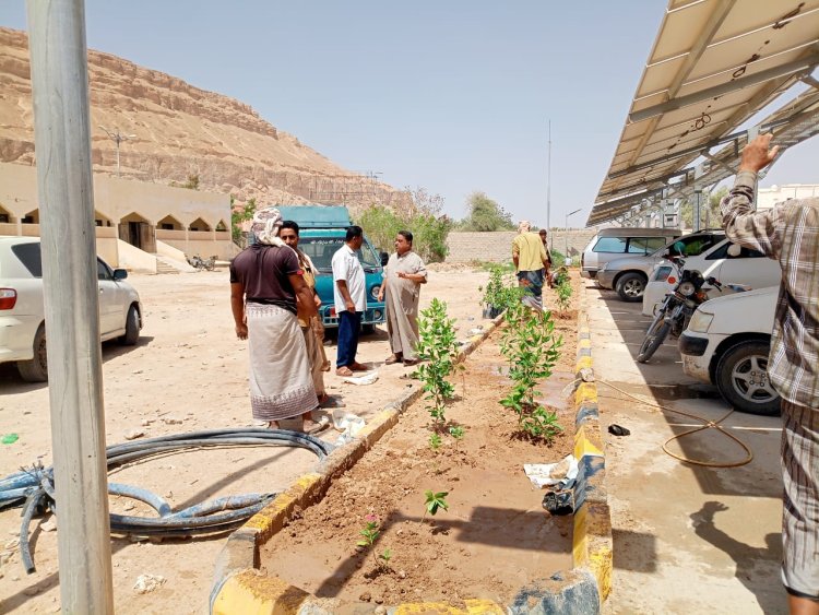 انطلاق أعمال تشجير ساحة مستشفى شبام لتعزيز البيئة الصحية والجمالية