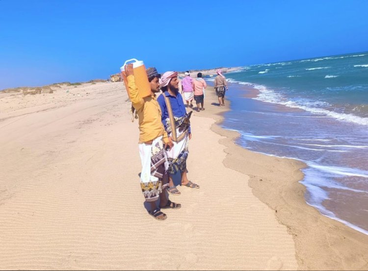 في حملة إنسانية واسعة.. شباب أحور يمشطون سواحل المديرية بحثاً عن الشقيقين العظمي