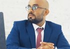 يافع تستعيد عرش هيبتها وتشرق شمسها من جديد