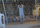 مطالبات شعبية بمحاسبة المسؤولين عن صفقة تبادل متهمين في قضايا إرهابية
