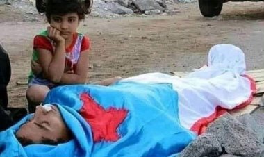 صلاح بن لغبر: أيها الجنوبيون #ولا_لكم_أي_دخل.. لا ناقة لكم ولا جمل