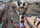 فشل المخططات أمام صمود الجنوبيين