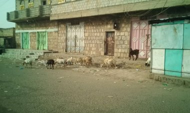 الوضيع تشهد تفاعلاً واسعًا مع دعوة اتحاد نقابات عمال الجنوب العربي لليوم الثاني من العصيان المدني