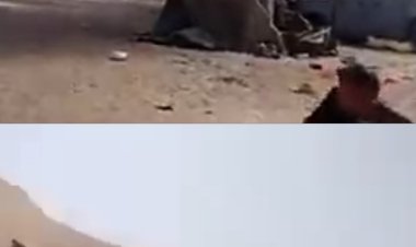 مبدأ الثبات والانبطاح
