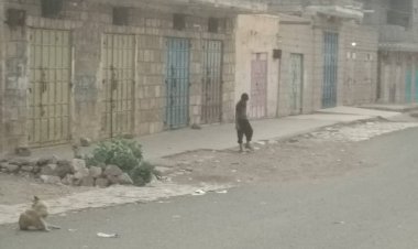 الوضيع تصعٌد.. عصيان مدني واسع استجابة لدعوة نقابات عمال الجنوب