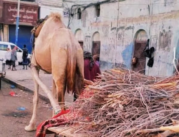 عودة نشاط بائعي الحطب في العاصمة عدن بسبب أزمة الغاز المنزلي