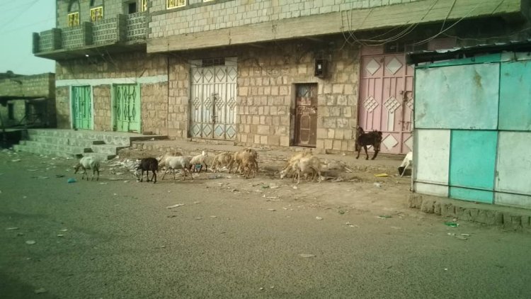 الوضيع تشهد تفاعلاً واسعًا مع دعوة اتحاد نقابات عمال الجنوب العربي لليوم الثاني من العصيان المدني