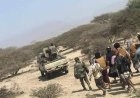 الصبيحة.. حين تصبح الجغرافيا عنواناً للسيادة
