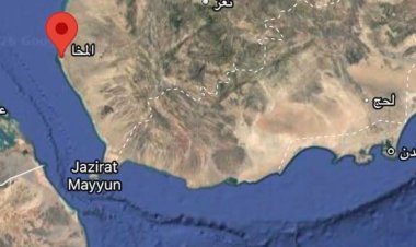 ضابط بالقوات الجنوبية: قوات طارق سلّمت مواقعها للحوثيين وعتادها المتجه إلى عدن قد يُستخدم لإسقاطها