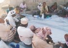 تحرك عاجل لإنقاذ أراضي القريات بزنجبار.. اجتماع موسع للمزارعين  للمطالبة بوقف الاعتداءات وتنفيذ قرار محكمة الاستئناف